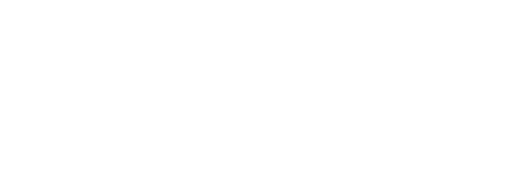 Fogel Services Logo